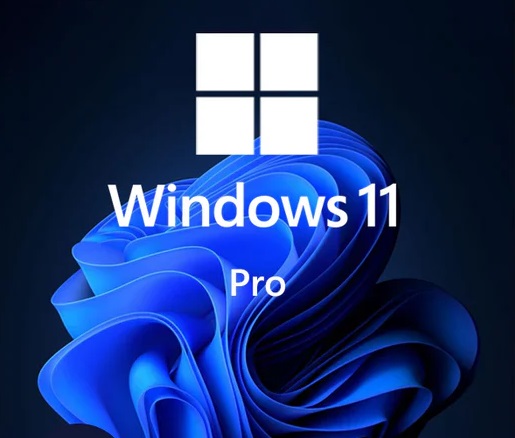 licenta windows 11 pro